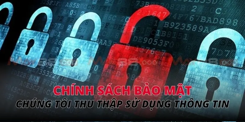 Chúng tôi thu thập và sử dụng các thông tin của người dùng